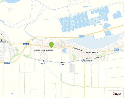 х. Новоалександровка, пер. Невский, 1, Азовского района, Ростовской области